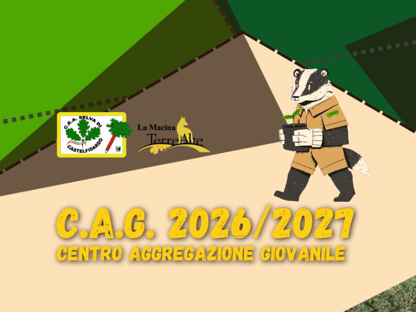 CENTRO AGGREGAZIONE GIOVANILE 2026/2027
